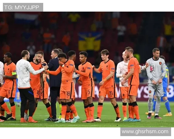 荷兰队憾负捷克遗憾止步欧洲杯八强